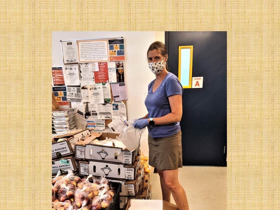 volunteer food sorting