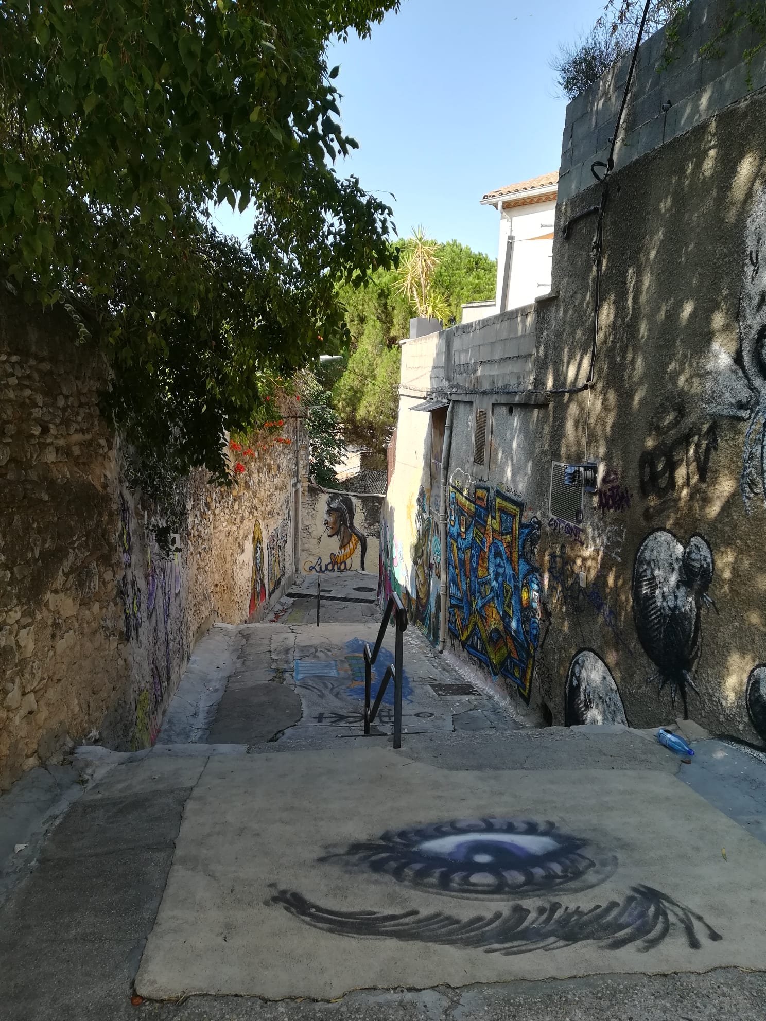 IMG-20210824-WA0002 (002)