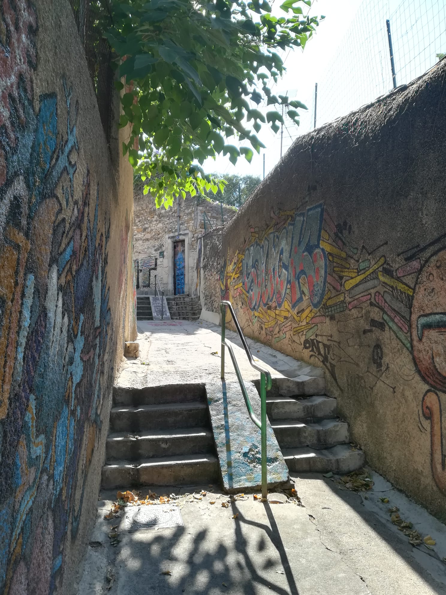 IMG-20210824-WA0010 (003)